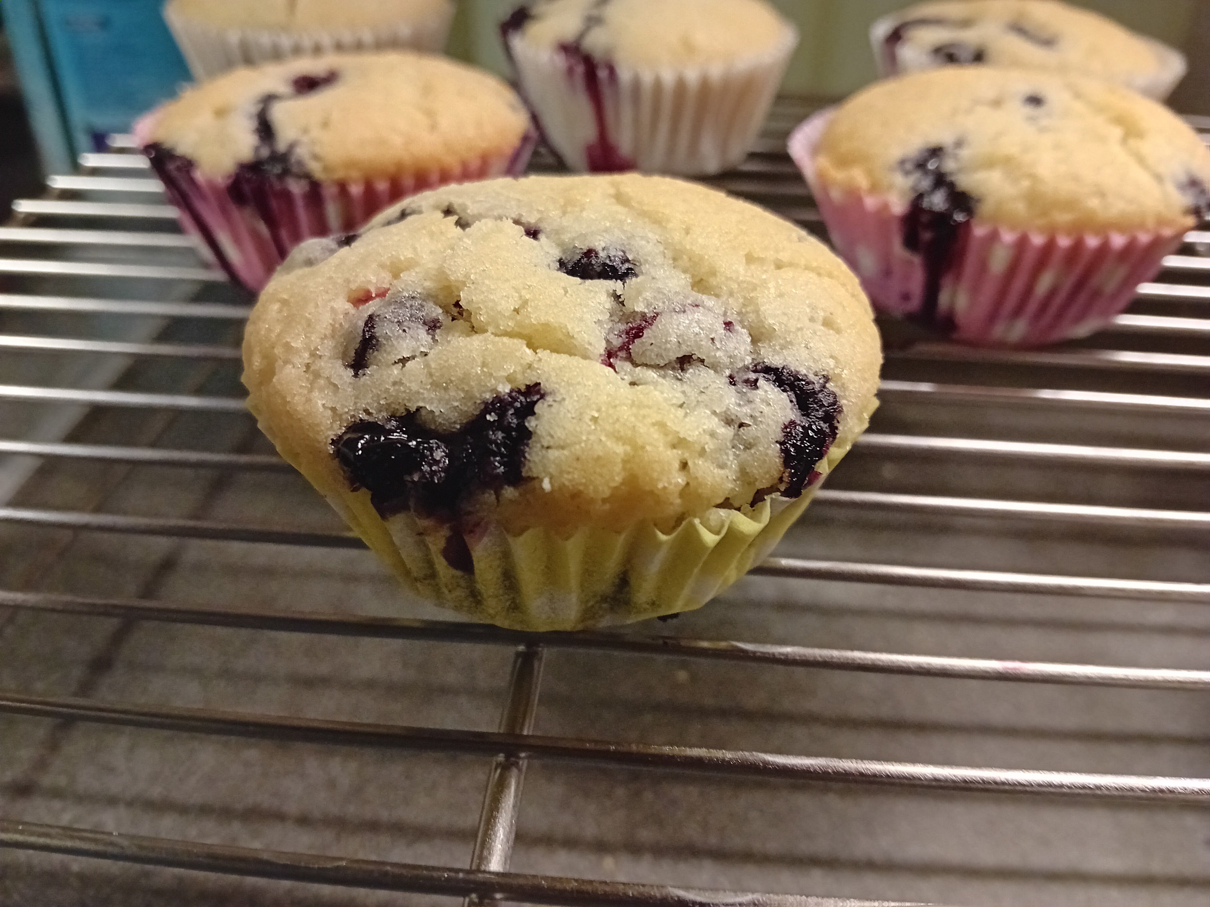 Blauwe Bessen Muffins